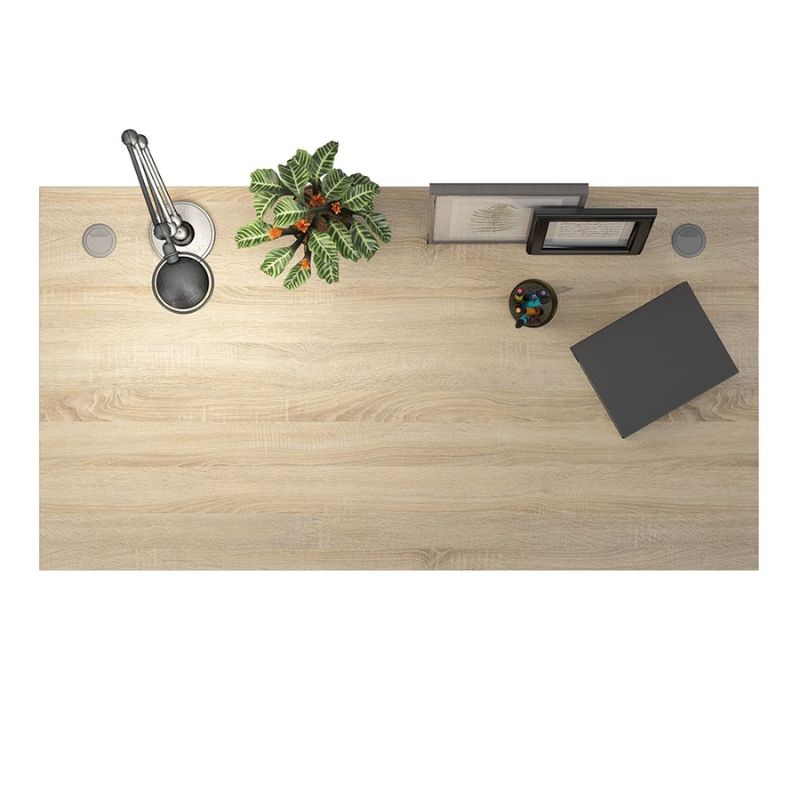 Wooden desk with office items including a plant, lamp, and stationery on a white background