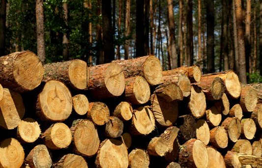 What is Eco-Design Furniture?