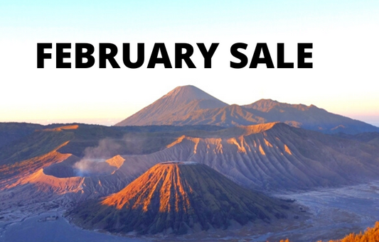 February Sale