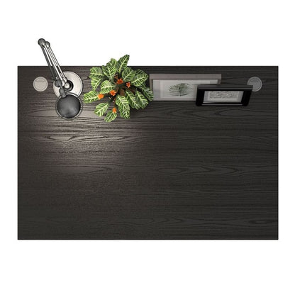 Dark wooden desk with decorative items including a plant, picture frame, and office supplies.