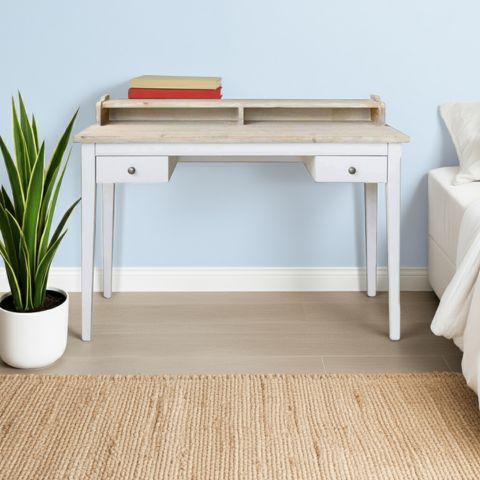 Wooden desk with a plant and books against a light blue wall.