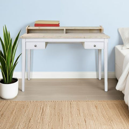 Wooden desk with a plant and books against a light blue wall.